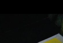 Pembentukan PC DDI Masalembu Jawa Timur