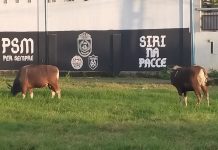 Makna Hari Tasyrik