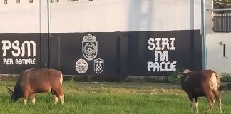 Makna Hari Tasyrik