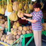 Durian Godaan Yang Berduri