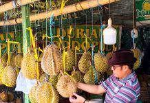 Durian Godaan Yang Berduri
