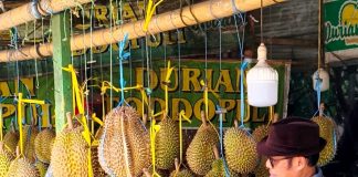 Durian Godaan Yang Berduri