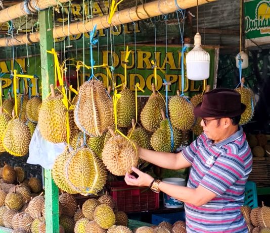 Durian Godaan Yang Berduri
